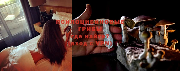 крисы Протвино