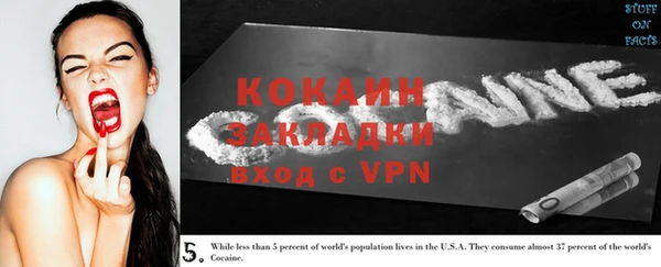 шишки Вязьма