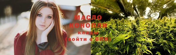 стаф Гусь-Хрустальный
